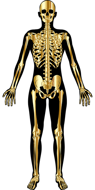 Healthy Bones