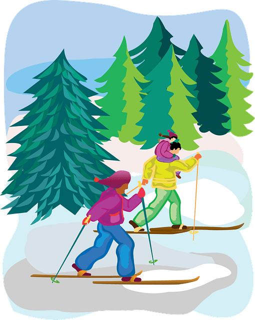 Cross Country Skiing