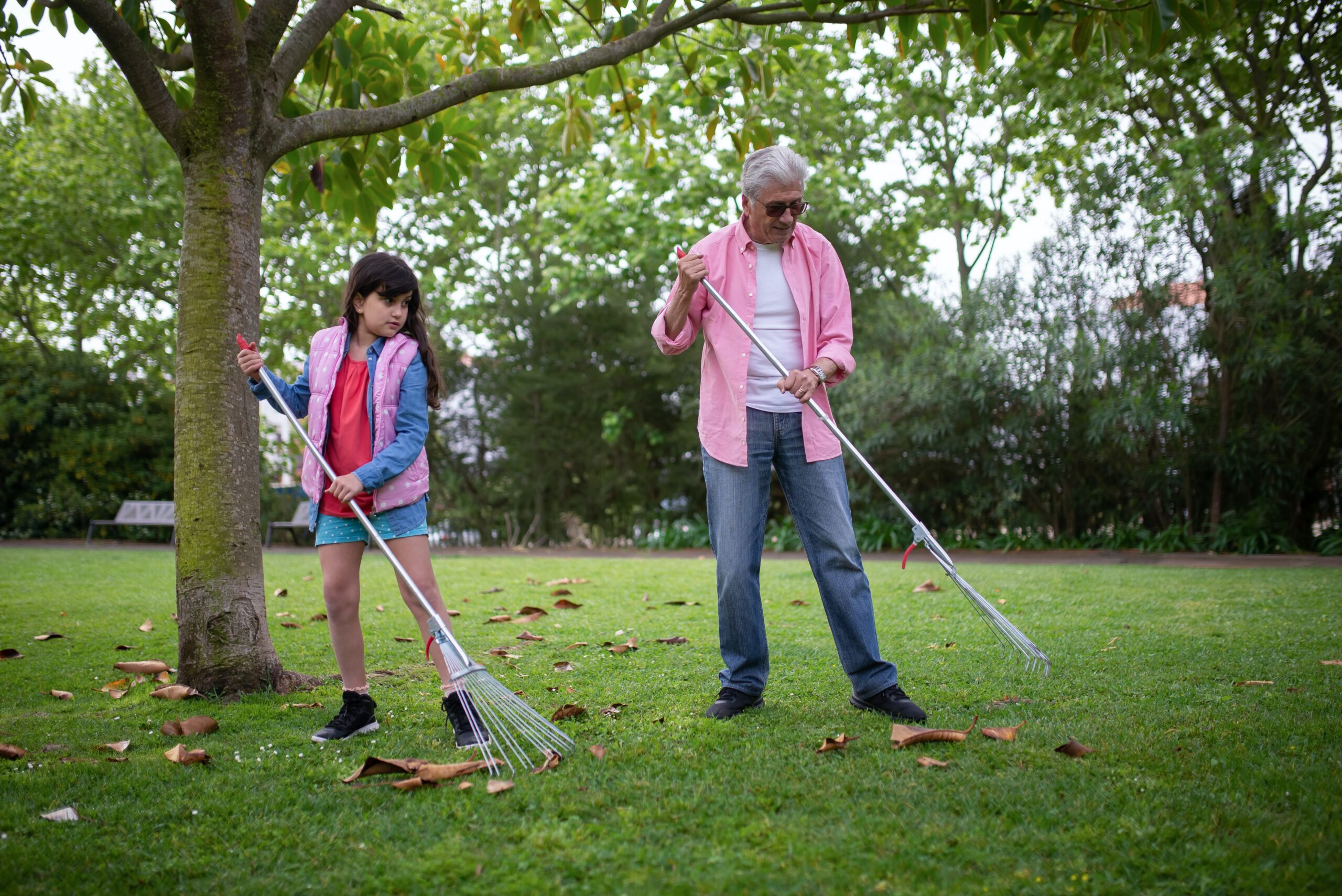 Raking The Lawn