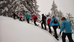 snowshoeing for beginners