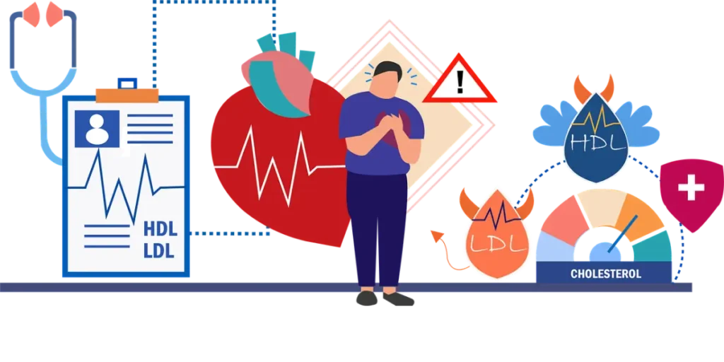 What is the difference between HDL and LDL