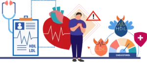 What is the difference between HDL and LDL