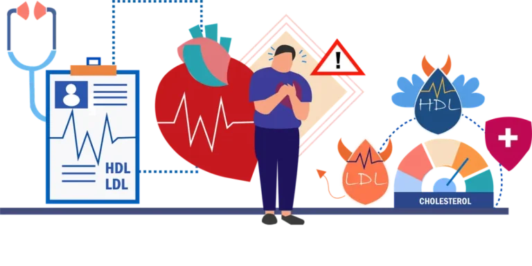 What is the difference between HDL and LDL